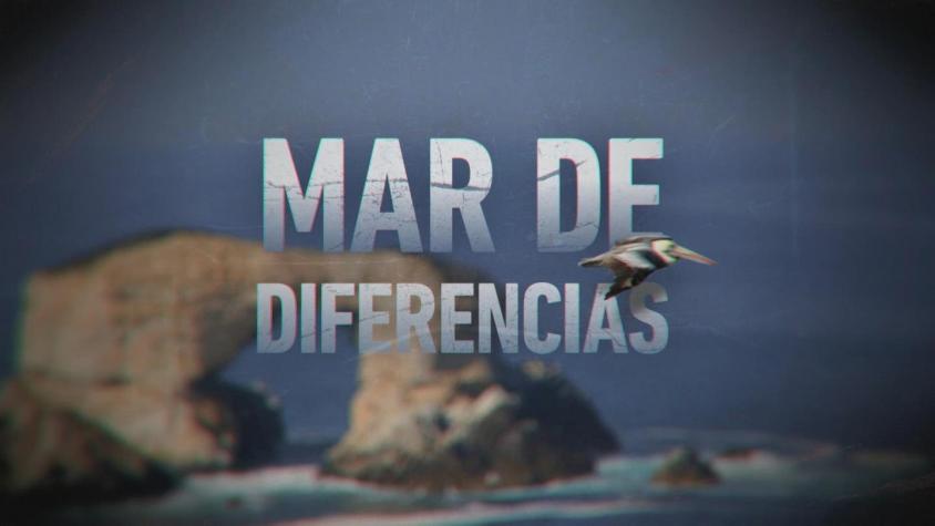 [VIDEO] Chile y Bolivia: Un mar de diferencias