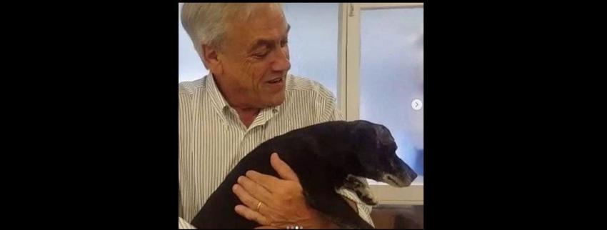 Piñera lamenta la muerte de su perro y pide privilegiar la adopción de mascotas