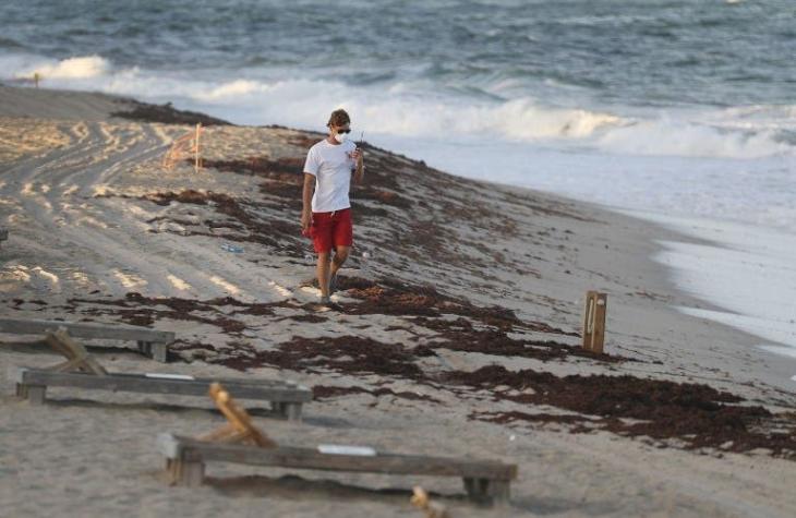 "Marea roja": Alga tóxica llega a las playas de Miami