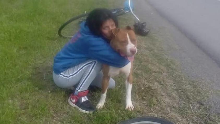 Mujer se encadenó para que le devolvieran a su perro que estaba preso