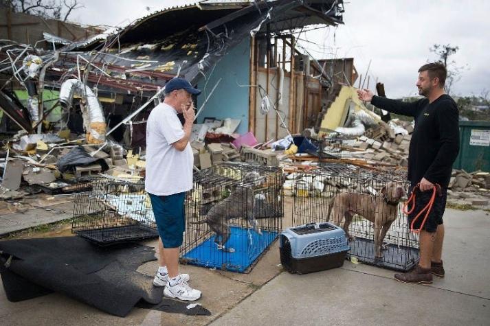 [FOTOS] Las devastadores imágenes de un hogar de animales por el paso del huracán Michael en Florida
