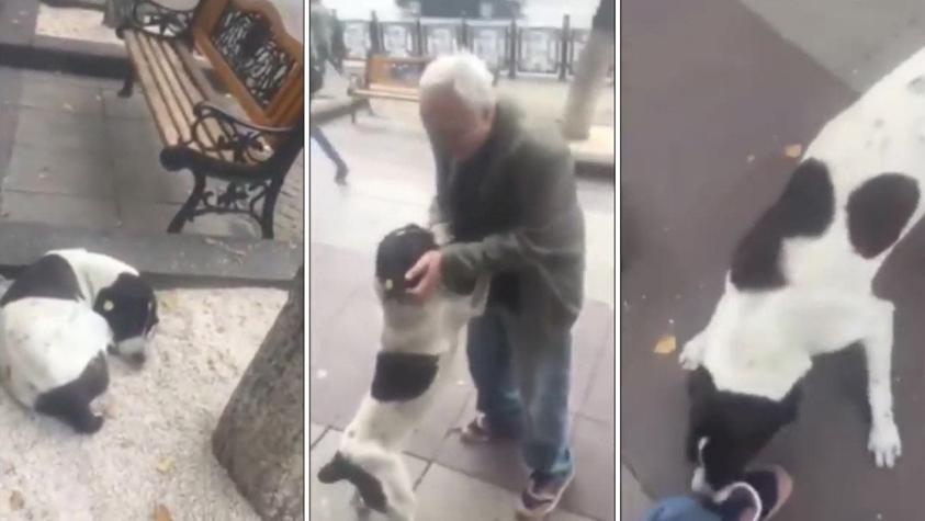 [VIDEO] El emotivo reencuentro entre un hombre y el perro que perdió hace tres años