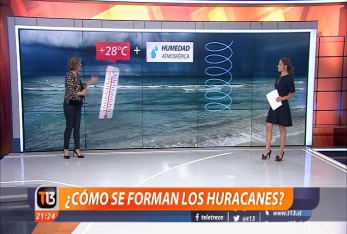 [VIDEO] ¿Cómo se forman los huracanes? Michelle Adam lo explica