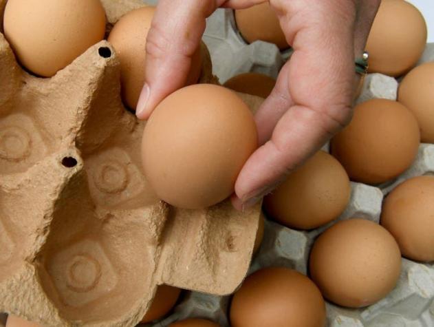 Día Mundial del Huevo: ¿Cuáles son las verdaderas diferencias entre los huevos blancos y de color?