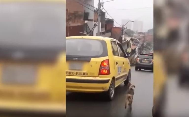 [VÍDEO] Colombia: Perro corre 20 cuadras hasta alcanzar a sus dueños que lo habían abandonado