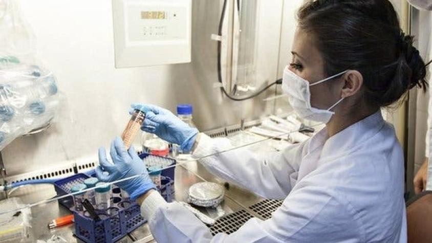 Células madre para tratar el VIH: detalles del último gran avance contra el virus que causa el sida