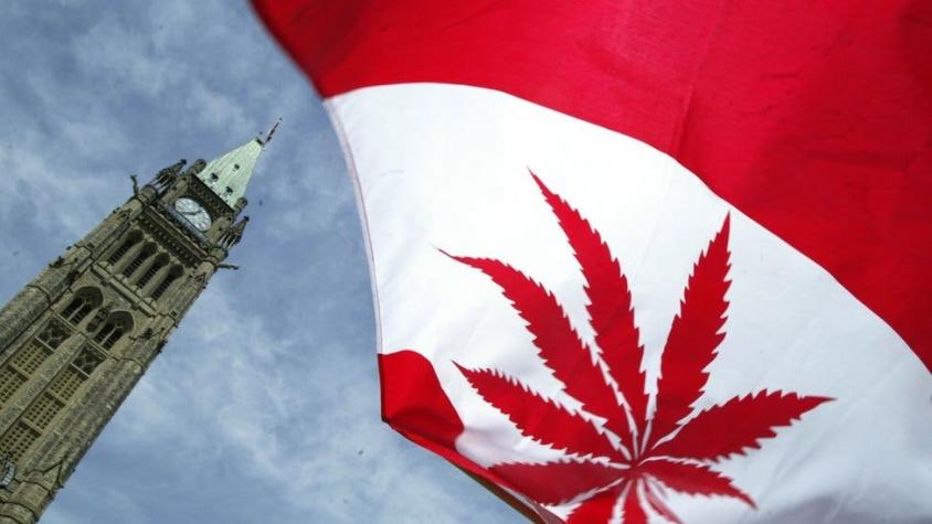 Marihuana legal en Canadá: la empresa con inversiones en Chile que más se beneficia de la nueva ley