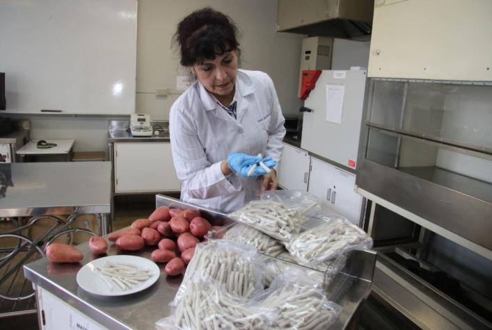 Científicos chilenos crean "papas fritas" con bajas calorías y sin sellos