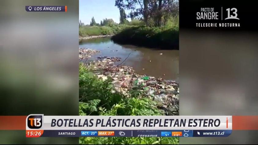 [VIDEO] "Río de Basura": Cientos de botellas contaminan estero en Los Ángeles
