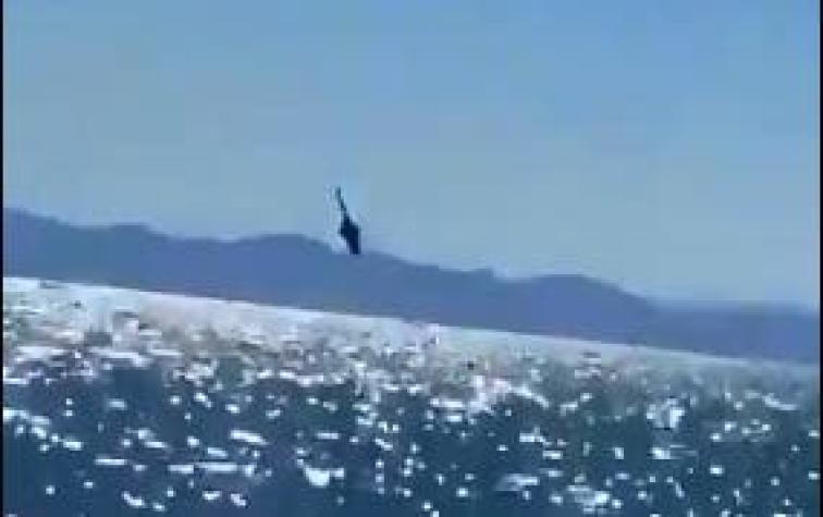 [VIDEO] Helicóptero de la Armada de México se desploma en el Golfo de California