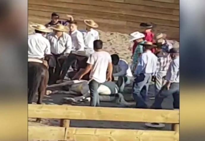 [VIDEO] Investigan caso de maltrato animal en medialuna de Los Andes