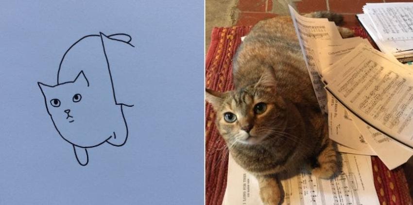 [FOTOS] La cuenta de "gatos mal dibujados" que se convirtió en un exitoso negocio en Twitter
