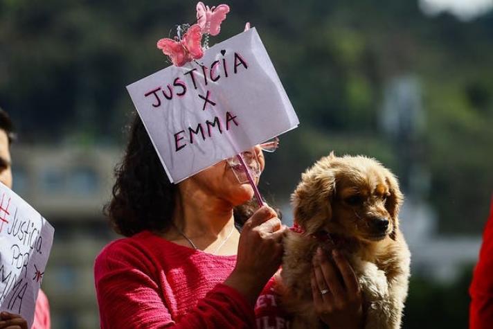 Justicia para Emma: Girardi propone trabajo comunitario para las agresoras de la gatita torturada