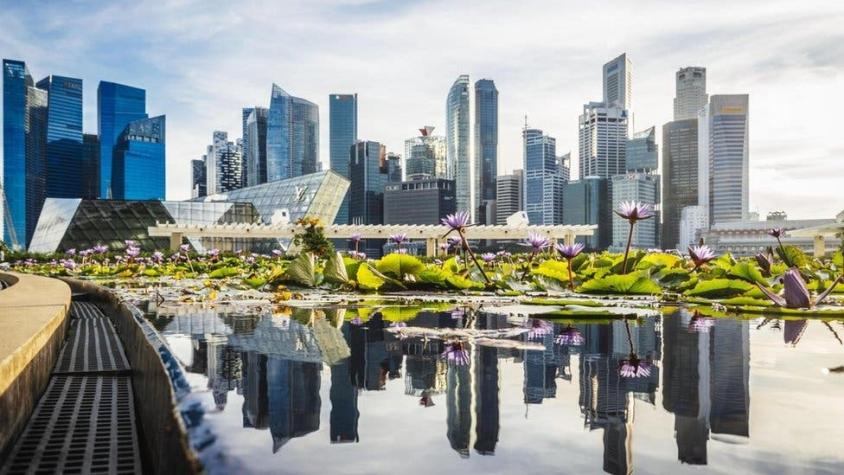 Cómo consiguió Singapur convertirse en la ciudad más verde y limpia de Asia