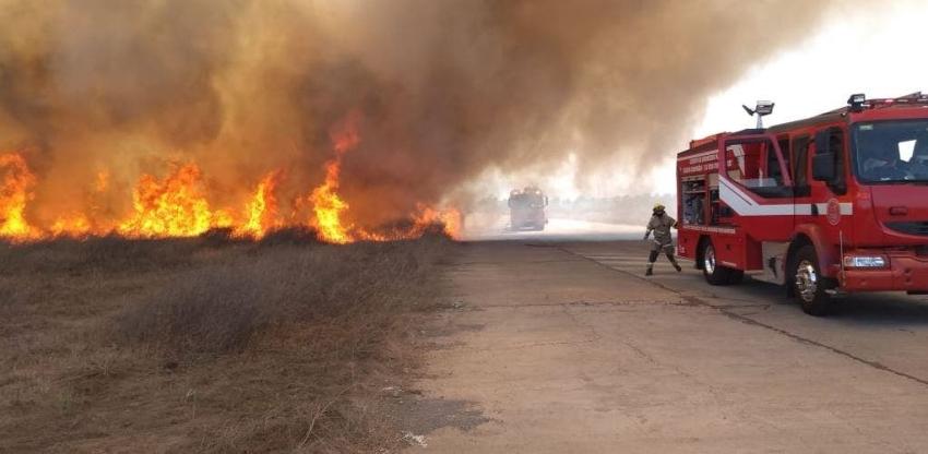 [VIDEO] Bomberos logra extinguir incendio en Parque Bicentenario de Cerrillos