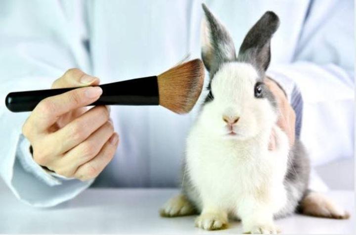 Productos “libres de crueldad”: ¿solo marketing o protección a los animales?