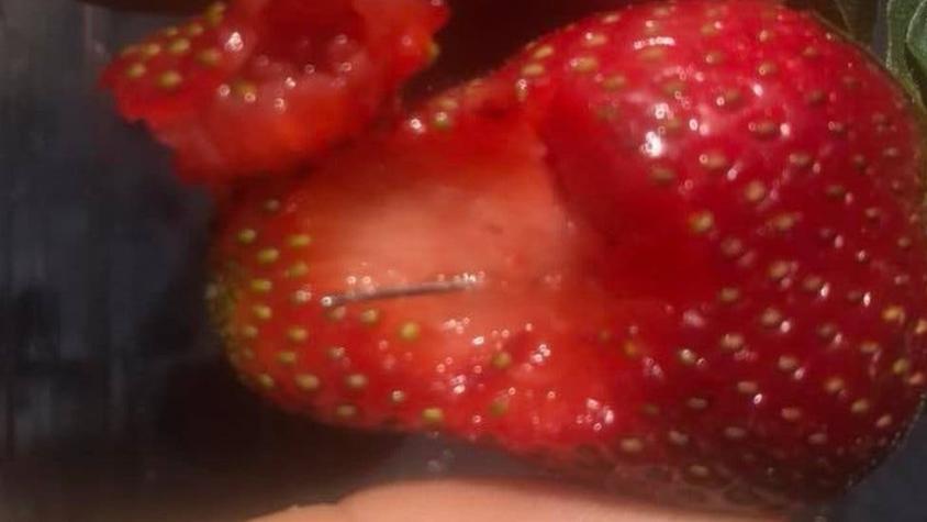 Las posibles razones de la mujer acusada de haber escondido agujas en fresas en Australia