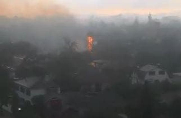 [VIDEO] Caída de rayo sobre una palmera provoca incendio en Ñuñoa
