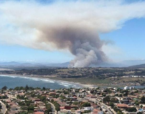 Alerta Roja comunal por incendio forestal en Mantagua
