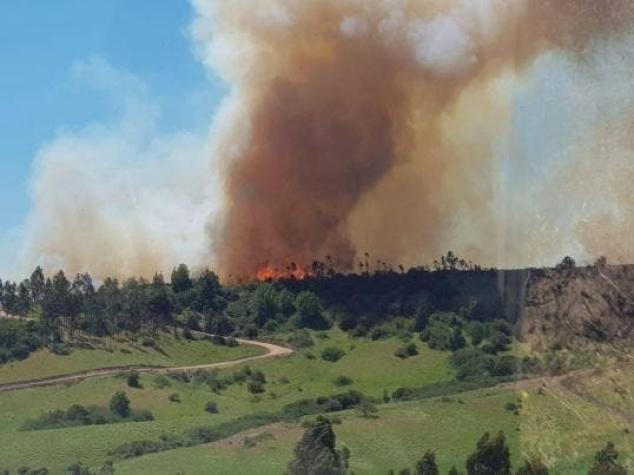 Se mantiene activo incendio forestal en Litueche