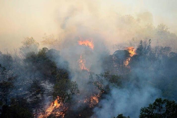 Se declara Alerta Roja para la comuna de Valparaíso por incendio forestal