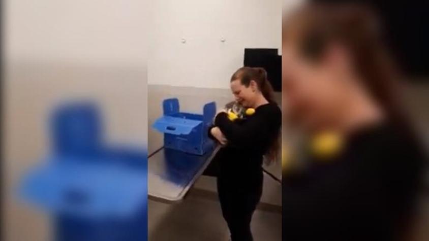 [VIDEO] El emocionante reencuentro de una mujer y su gato tras los incendios de California