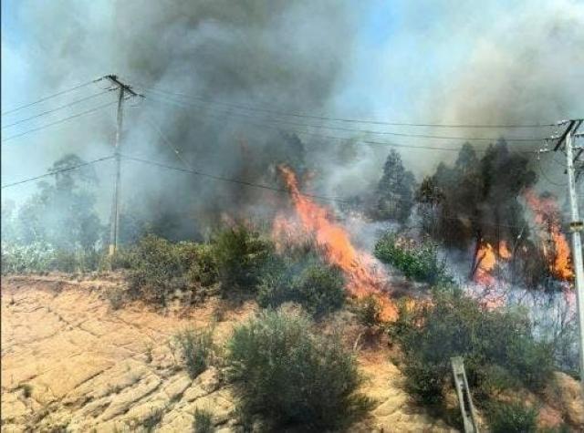 [FOTOS] Dos incendios forestales afectaron la zona centro del país