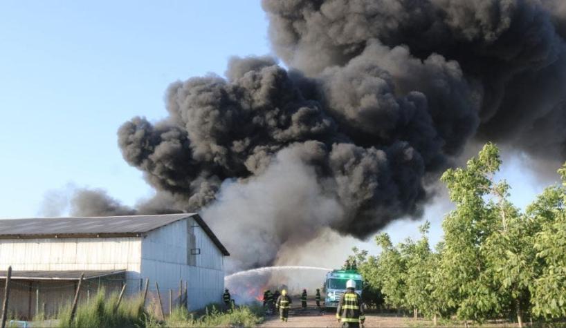 [VIDEO] Región de O'Higgins: Un incendio afecta a Fundo Santa María