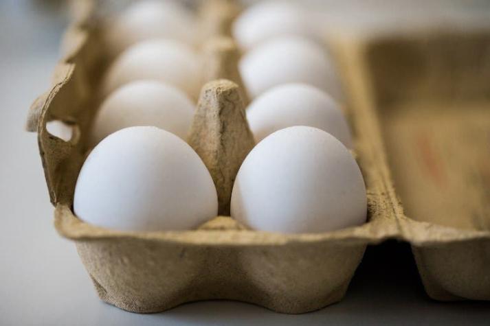 [VIDEO] Los argumentos de PETA para asegurar que consumir huevos no es compatible con el feminismo