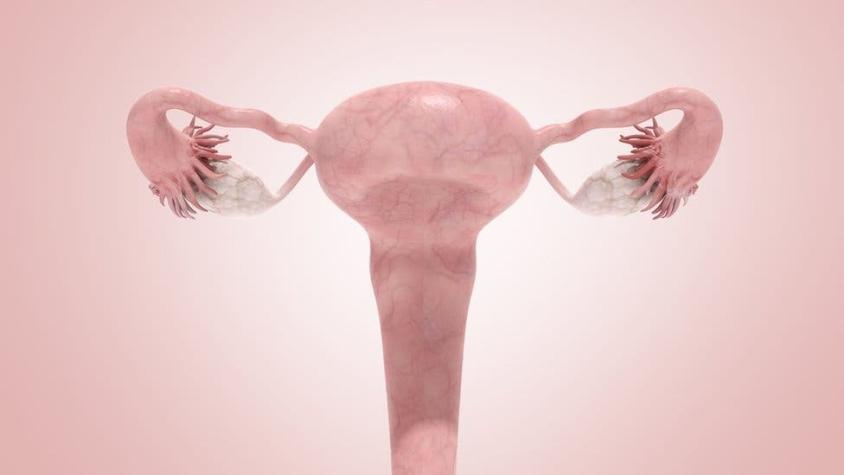 El testimonio de la primera mujer en dar a luz tras recibir un trasplante de útero