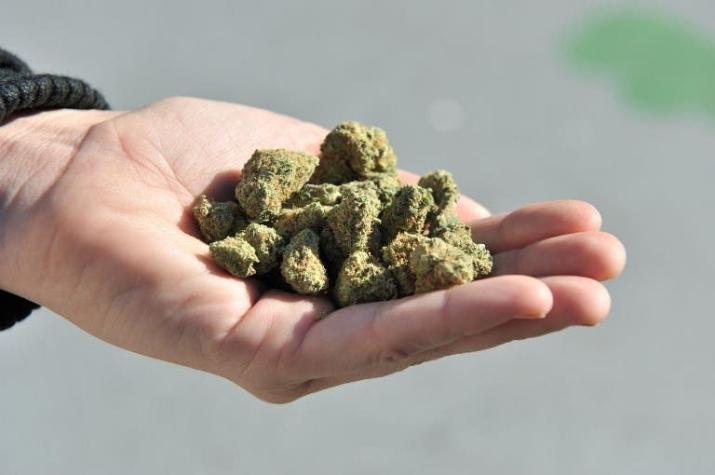 Luxemburgo quiere autorizar el cannabis de uso "recreativo"