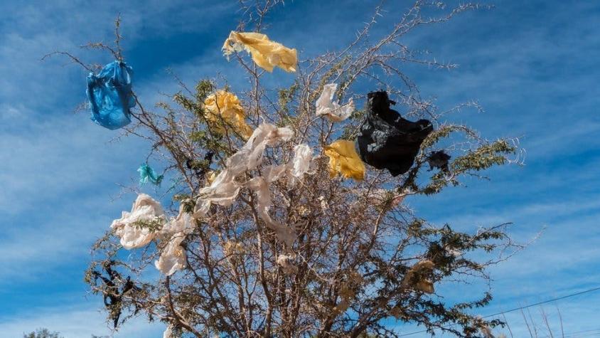 Por qué en Chile creen que prohibir las bolsas de plástico perjudicará a los más pobres