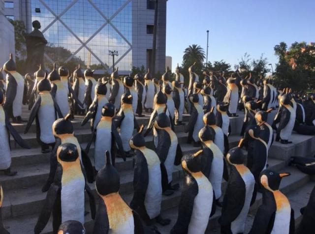 [VIDEO] Mil pingüinos son regalados a la ciudadanía en Plaza Italia