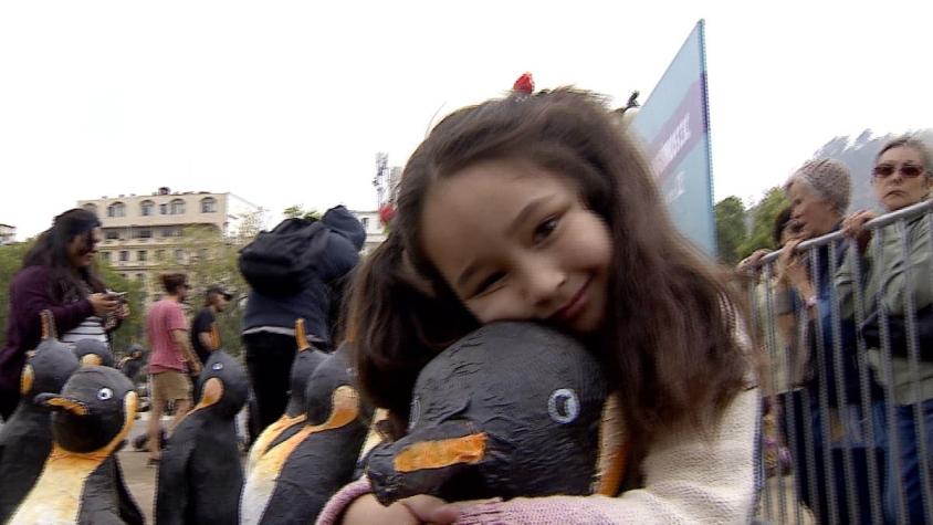 [VIDEO] Pingüinos para el cuidado del planeta