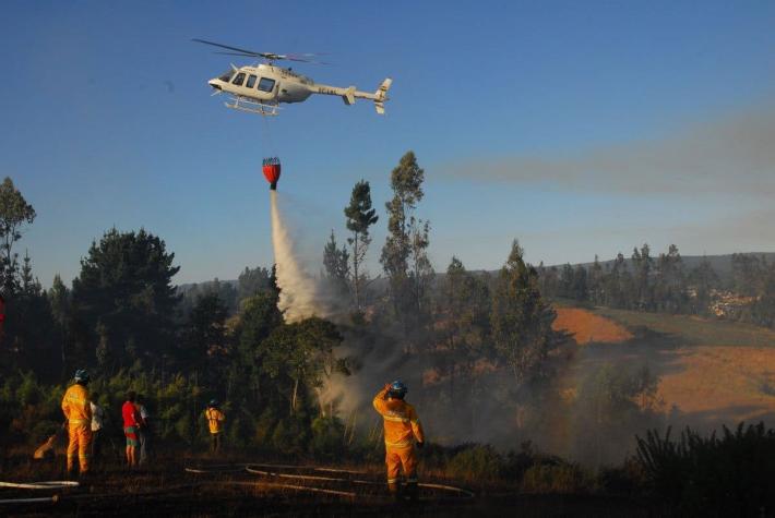 Onemi declara Alerta Roja para la comuna de Melipilla por incendio forestal