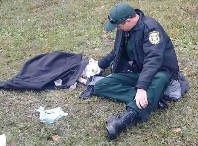 [FOTO] La conmovedora foto de un policía arropando a una perrita que fue atropellada
