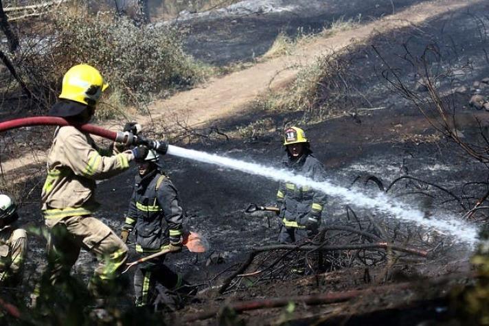 Onemi decreta alerta temprana preventiva por amenaza de incendios forestales en la R. Metropolitana