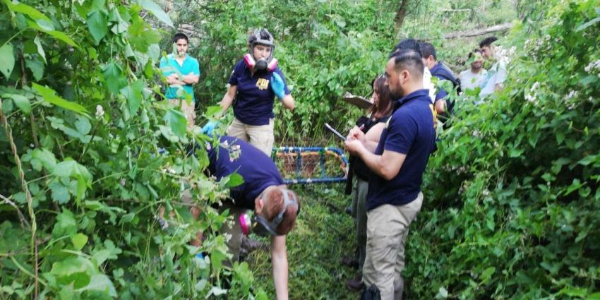 Encuentran cuerpo en río de Coihueco: Investigan si pertenece a embarazada desaparecida