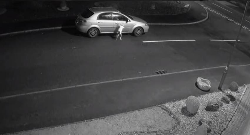 [VIDEO] Desgarrador: hombre abandona a un perro que insiste en subirse al auto