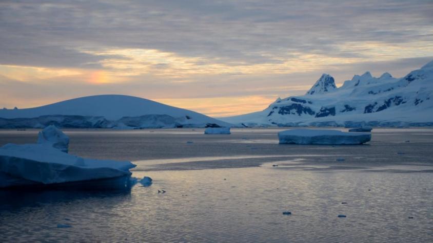 [VIDEO] Cambio climático en la Antártica
