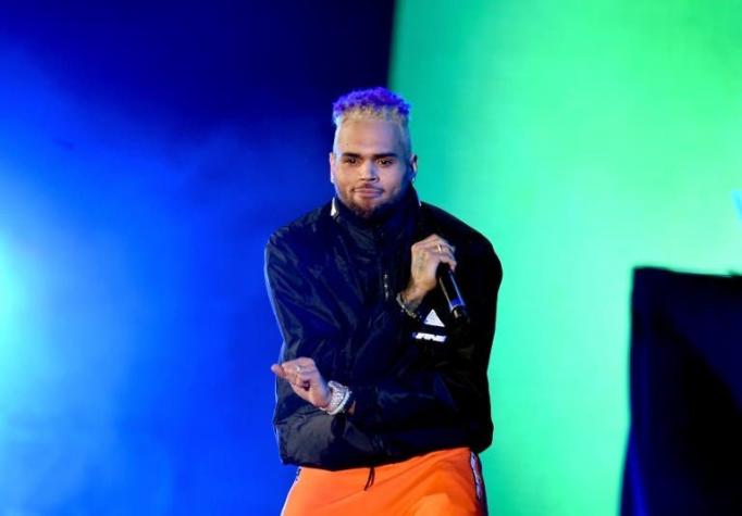 Chris Brown podr a pasar 6 meses en la c rcel por tener un mono