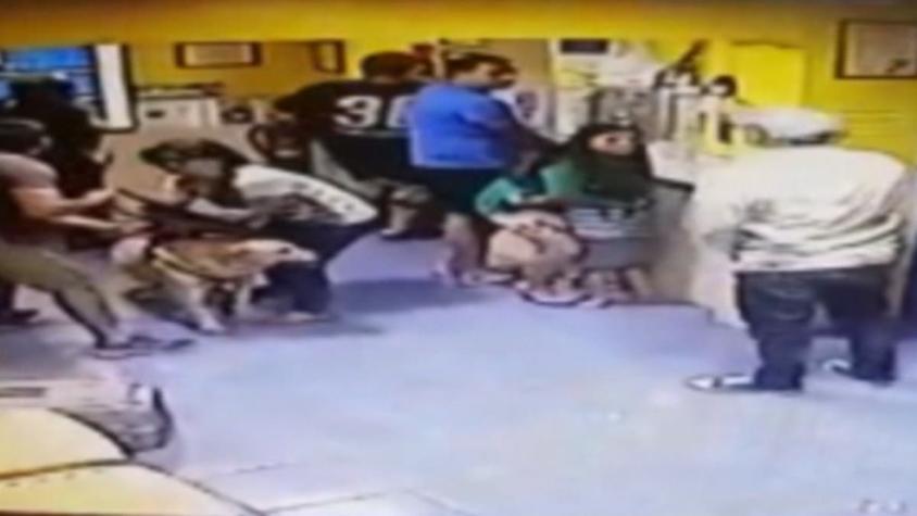[VIDEO] Violento asalto en clínica veterinaria