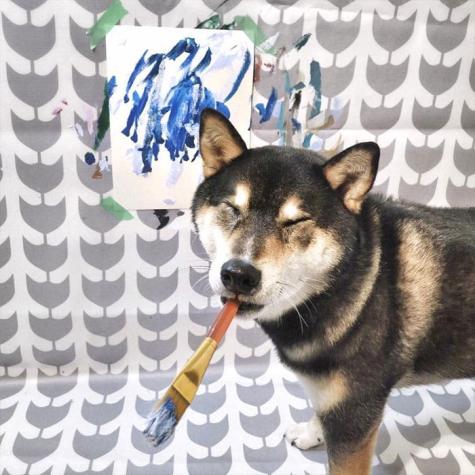 [VIDEO] Le enseñan a pintar a un perro y terminan vendiendo sus obras por internet