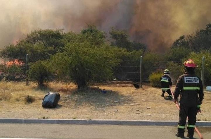 Valparaíso: Incendio forestal afecta cercanías de Lo Orozco