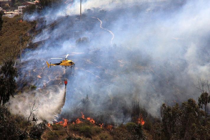Ola de calor: Bomberos declaran nuevos focos de incendios forestales en la región de Valparaíso