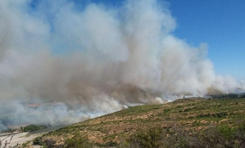 Formalizan a agricultor acusado de provocar enorme incendio forestal en el Maule