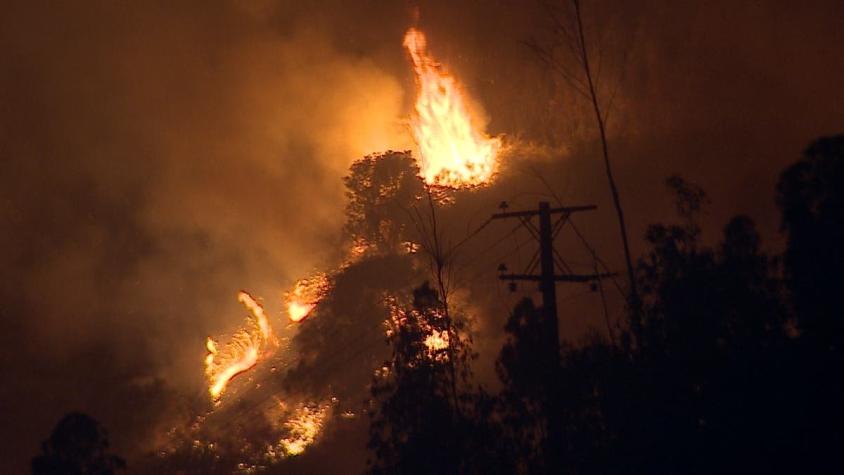 [VIDEO] Investigan causas de incendios forestales