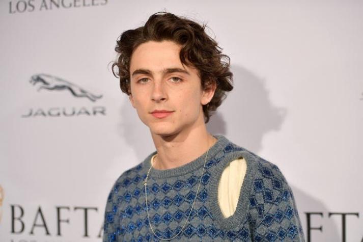 El arnés de Timothée Chalamet en los Globos de Oro 2019, lo más comentado  de la alfombra roja