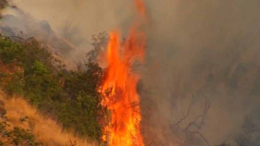 [VIDEO] Incendios forestales: Más de 9 mil hectáreas quemadas