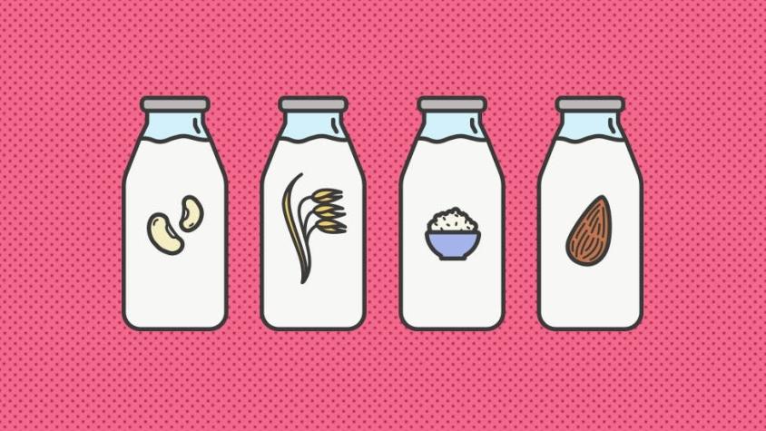 ¿Cuáles son las mejores leches veganas para el medio ambiente?